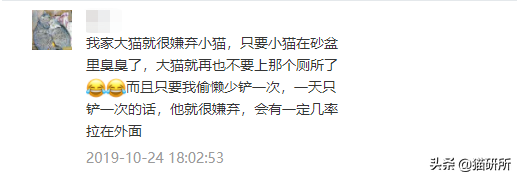 猫咪乱拉屎的原因,该如何解决,为什么突然乱拉,乱拉屎是不是有病