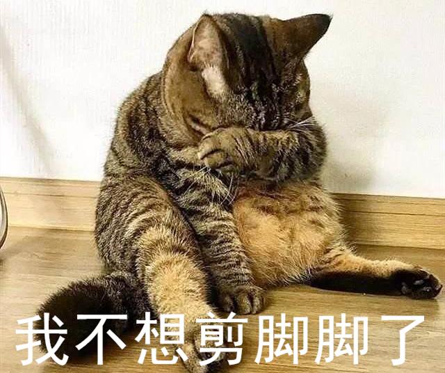 剪到猫咪血线会自愈吗：最全猫咪剪指甲攻略（教你安全有效地剪萌宠的爪子）