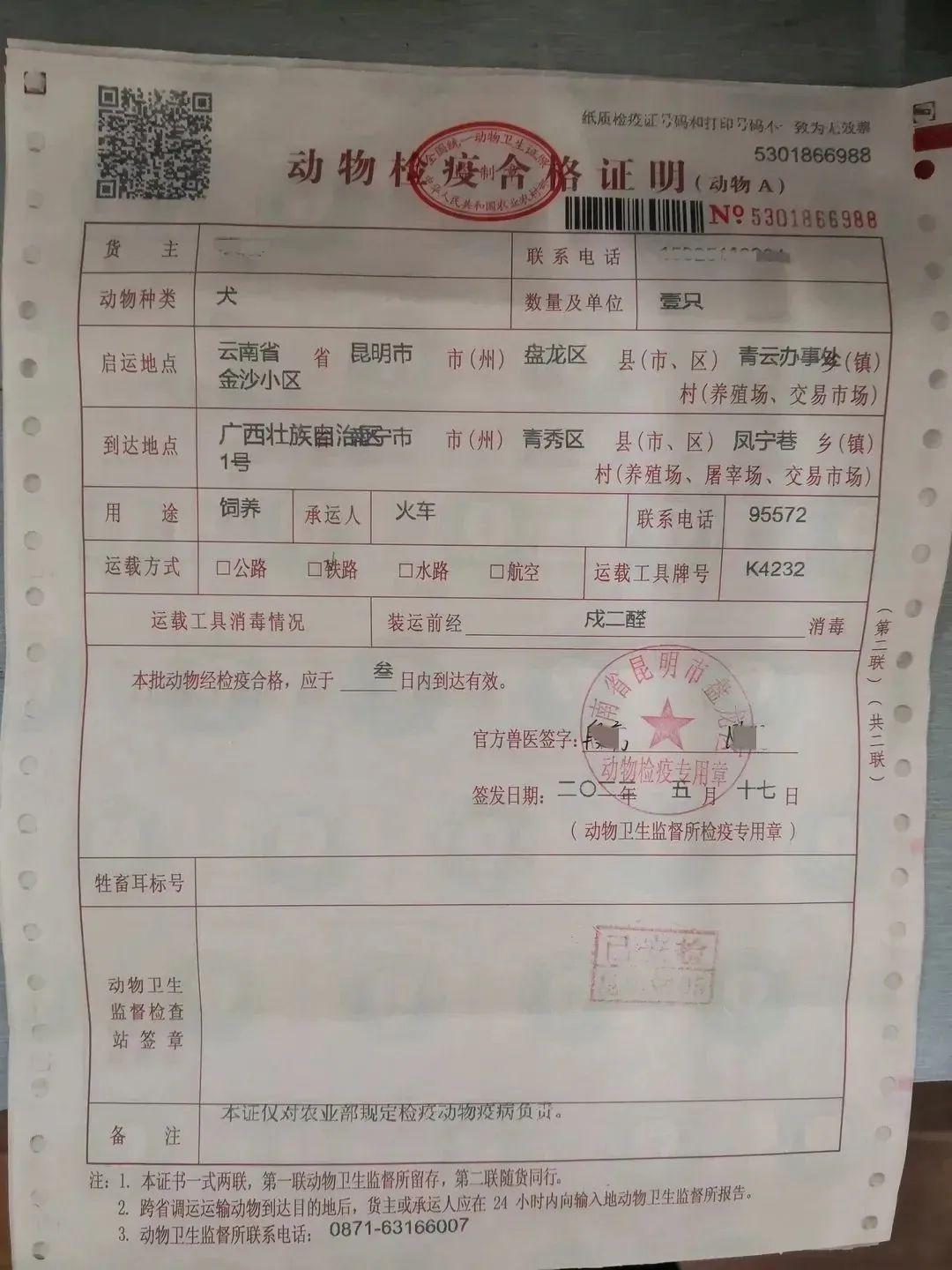 高铁怎么带宠物托运，高铁带宠物技巧分享