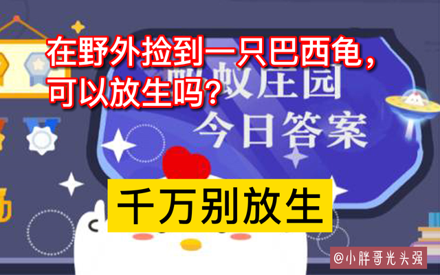 宠物巴西龟可以放生吗有讲究吗,巴西龟怎么放生才正确又简单