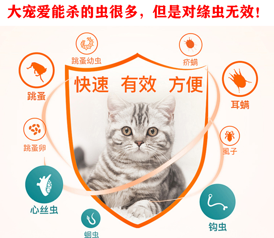 布偶猫可以吃生猪肝吗,一天可以吃多少猪肝,能吃煮熟的猪肝吗