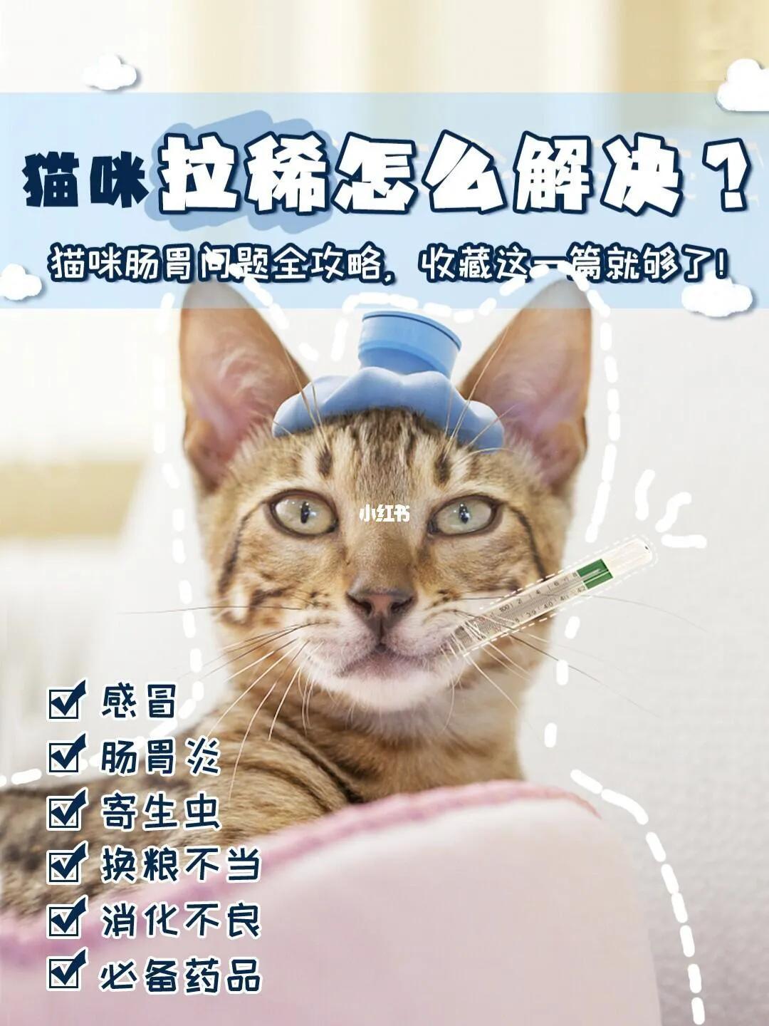 猫咪快速止泻方法土方法,拉稀可以喝羊奶粉吗,拉稀呕吐怎么回事