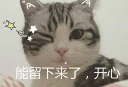 不出门的猫有必要打猫三联吗,猫三联每年都要打吗