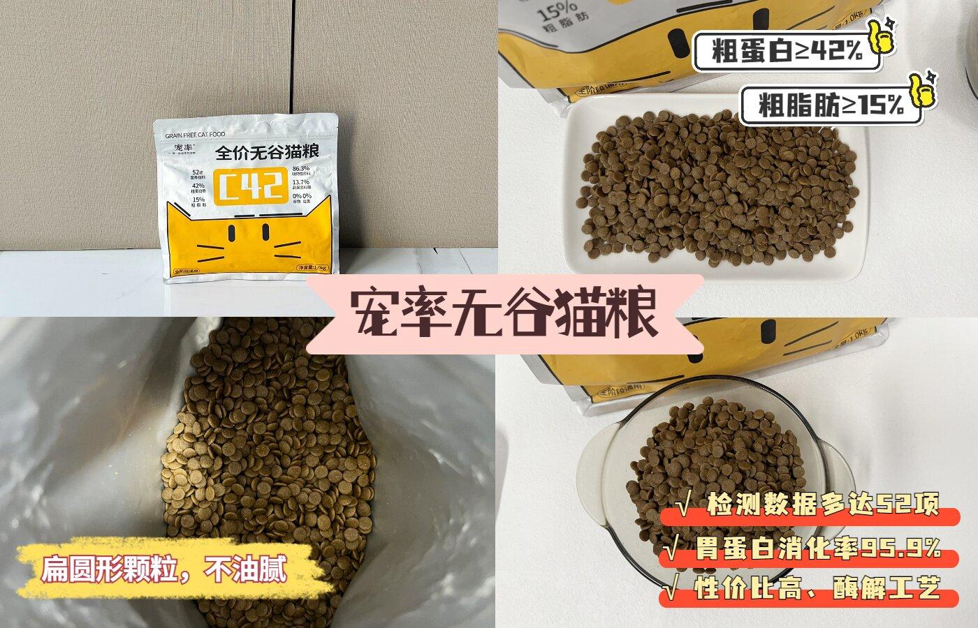 怎样养育奶猫才能健康成长（详解奶猫喂养注意事项）