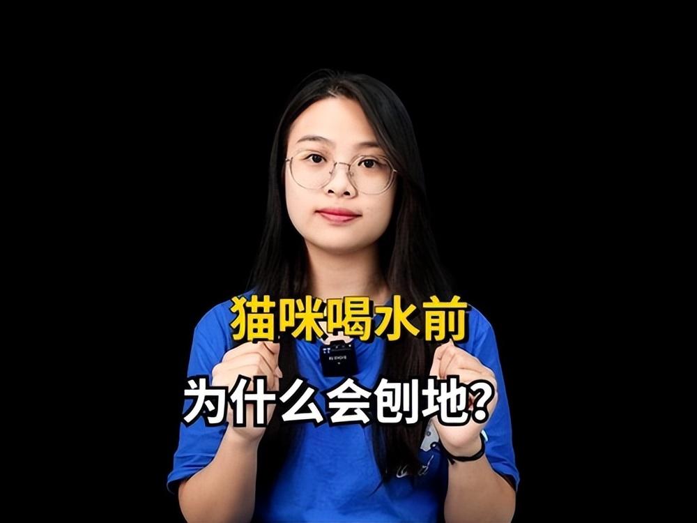 为什么猫咪喜欢在光滑的地面上刨？是不是开心的表现？