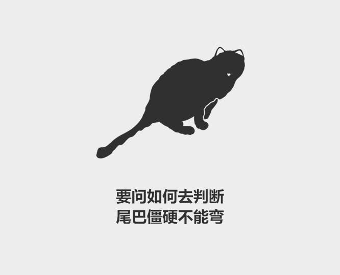 折耳猫有什么缺陷,一定会发病吗,寿命一般多少年,是天生的还是人为的