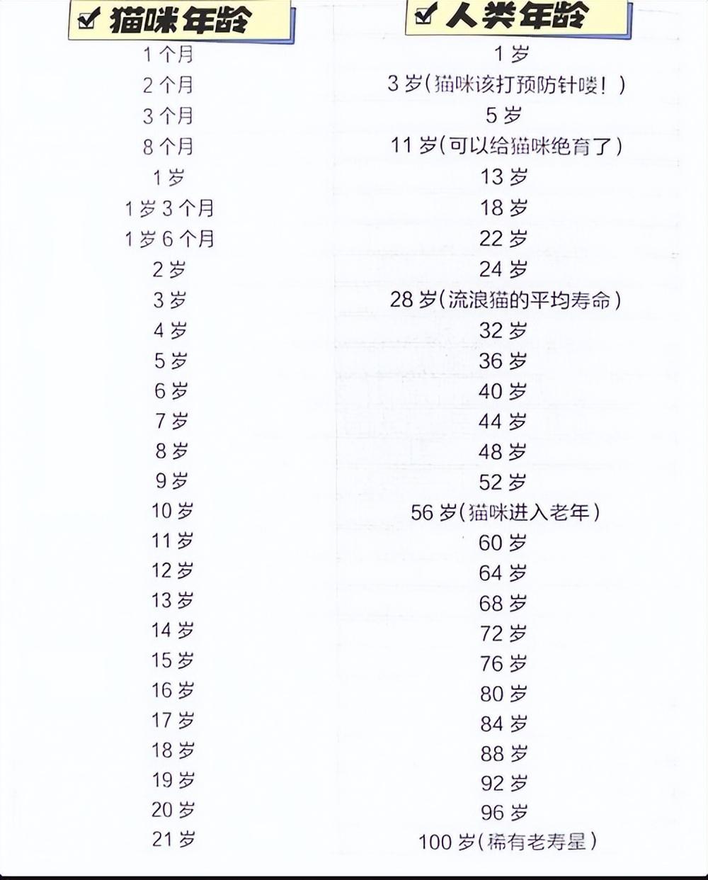 家猫的寿命多少年（介绍宠物寿命与健康管理）