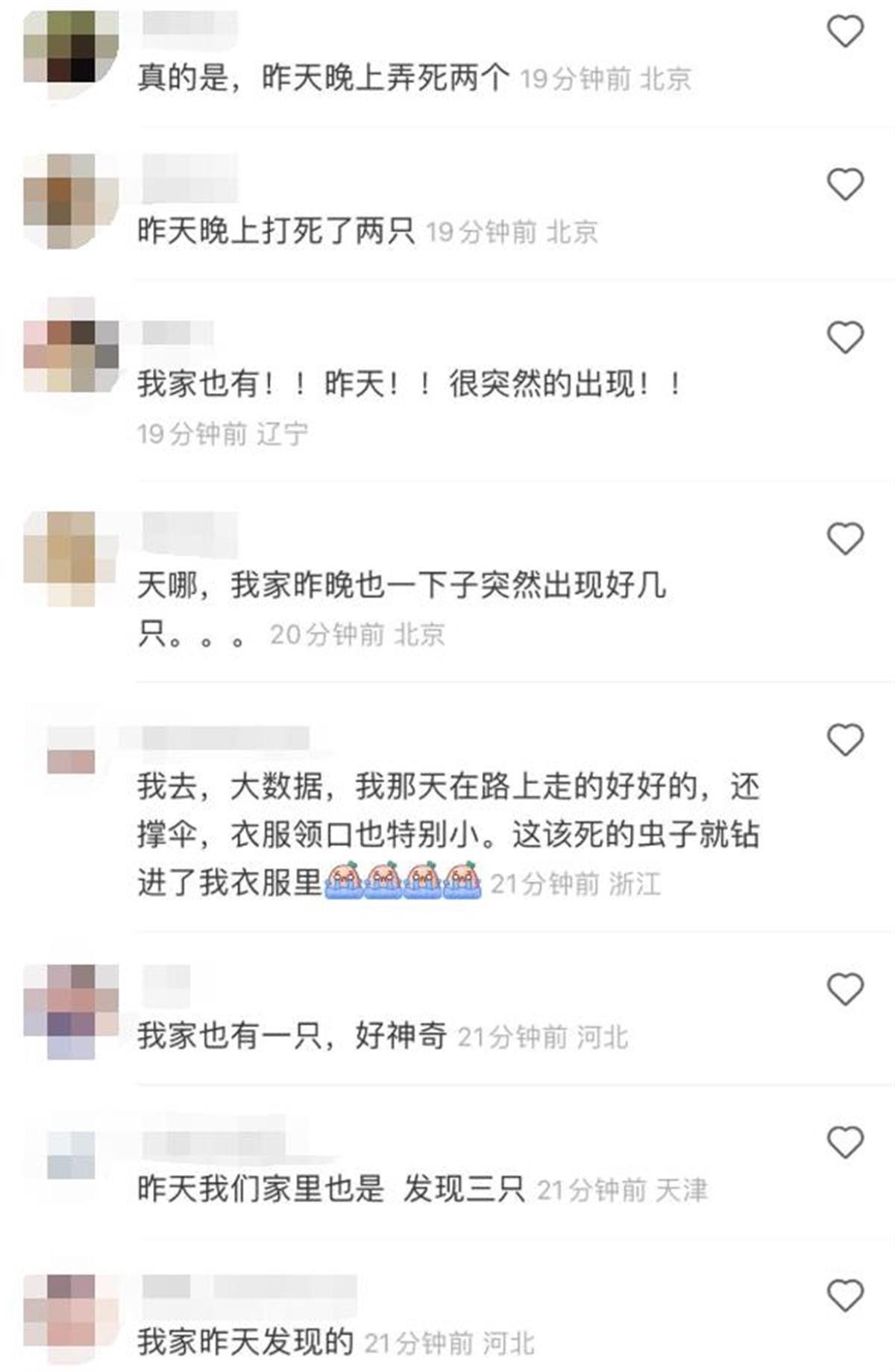 家里有长得像蟑螂的虫是什么虫，如何判断是不是蟑螂