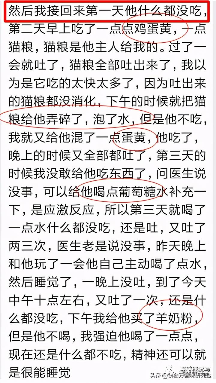 新猫到家不吃不喝几天内正常？（帮你了解毛孩子刚到家时的适应期）