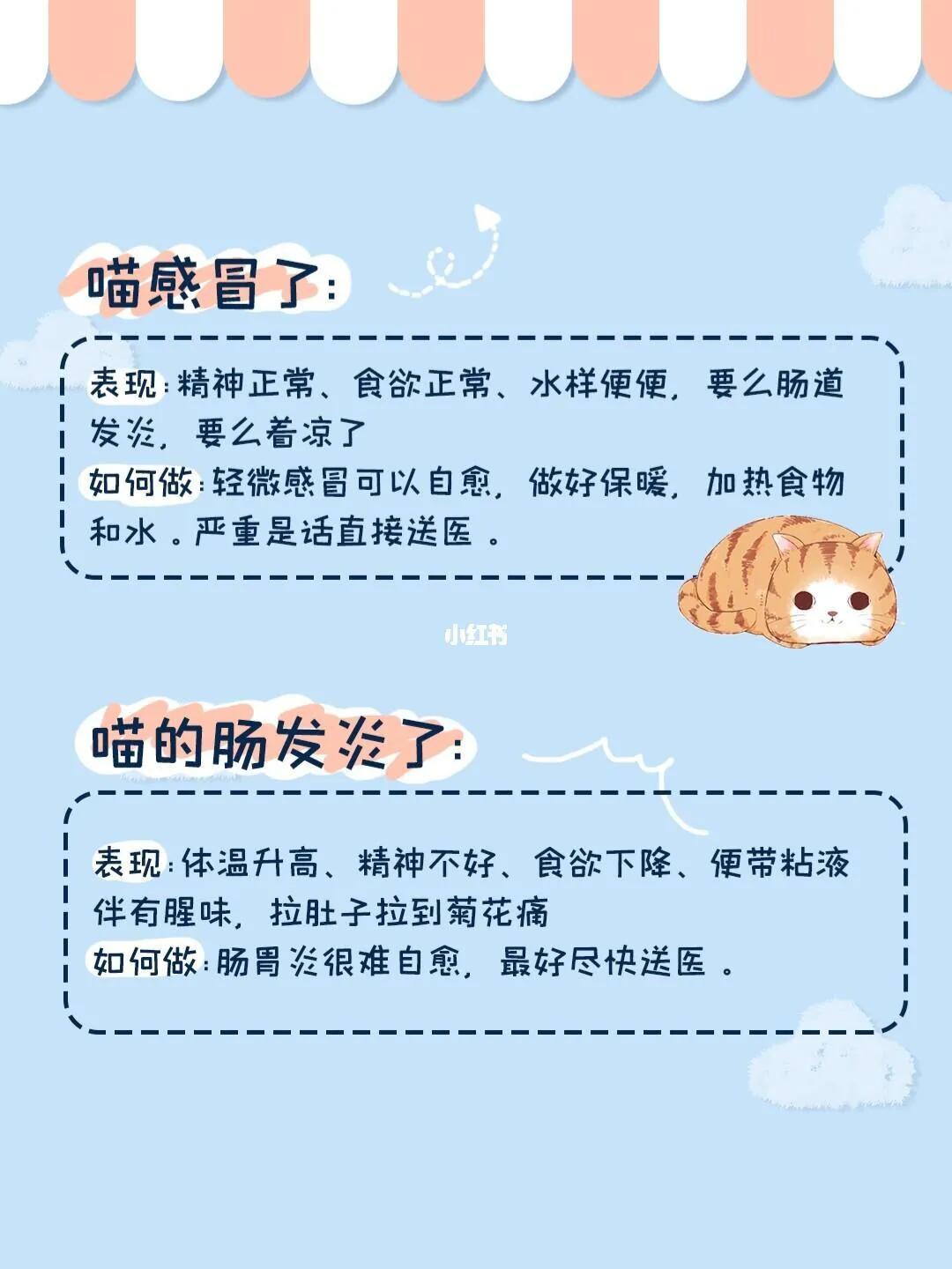 猫咪快速止泻方法土方法,拉稀可以喝羊奶粉吗,拉稀呕吐怎么回事