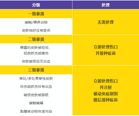 狗都有狂犬病毒吗 占比多少,能活多久,打了狂犬疫苗咬人有问题吗