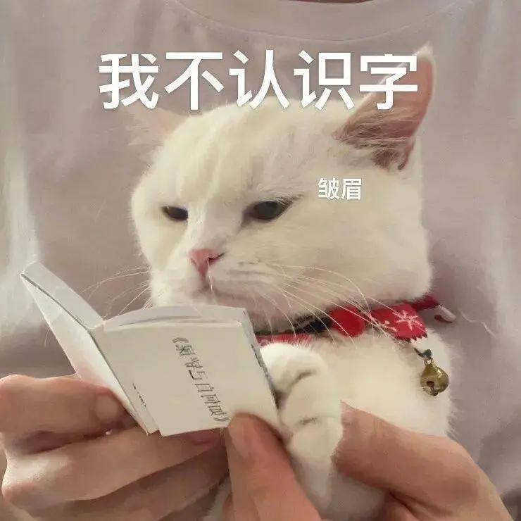 小奶猫拉稀了是怎么回事精神不佳，怎么办，能自愈吗