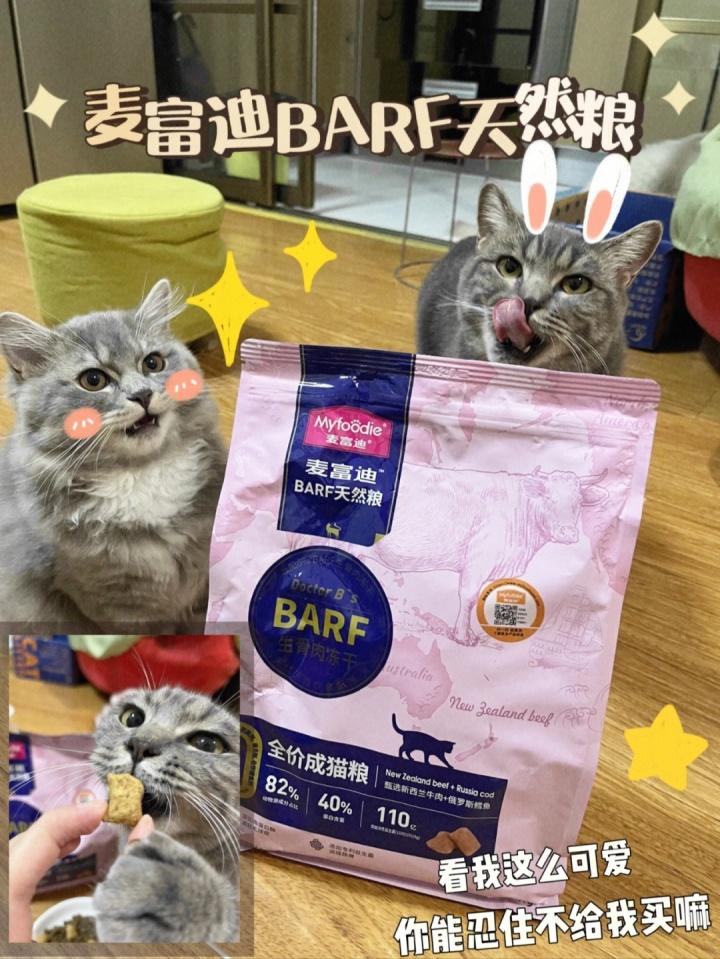 猫咪嗓子叫哑了，该如何帮助它康复？四种方法任选