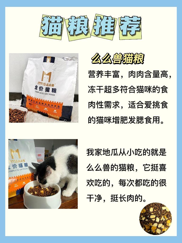 幼猫咪几个月就可以不泡猫粮了，吃得太饱的症状，每个阶段吃什么猫食