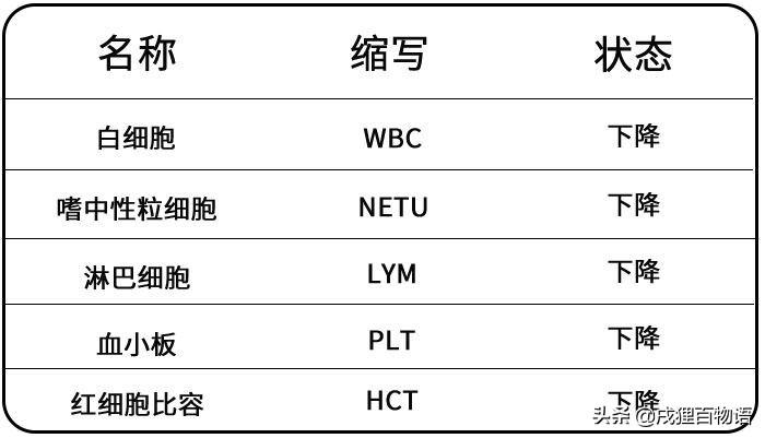 猫瘟最凶险是第几天,是什么原因引起的,感染猫瘟的初期症状